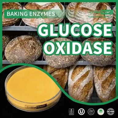 चीन एंजाइम ग्लूकोज ऑक्सीडेज और आपकी खाद्य निर्माण प्रक्रिया! कैस नं.: 9001-37-13