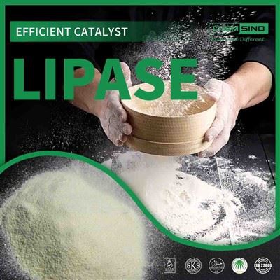 आंत-अनुकूल जीवन की शुरुआत यहां से होती है: लाइपेज एंजाइम के लाभ कैस नं.:9001-62-1
