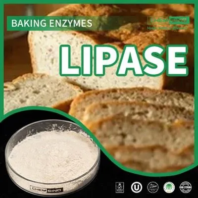 लाइपेज एंजाइम सप्लीमेंट के साथ पाचन की शक्ति को अनलॉक करें! कैस नं.:9001-62-1